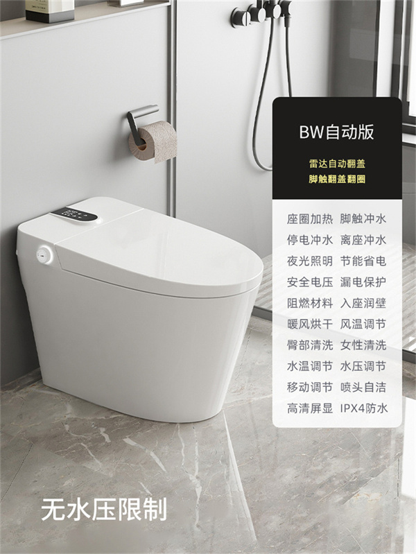 750带水箱BW自动版